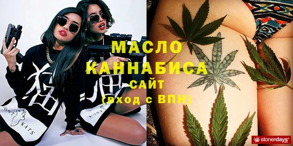 молекула духа Михайлов