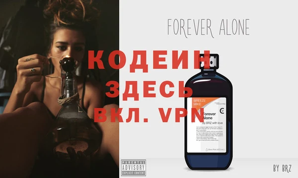 молекула духа Михайлов
