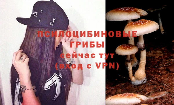 шишки Надым