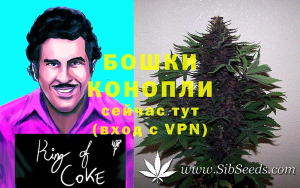молекула духа Михайлов